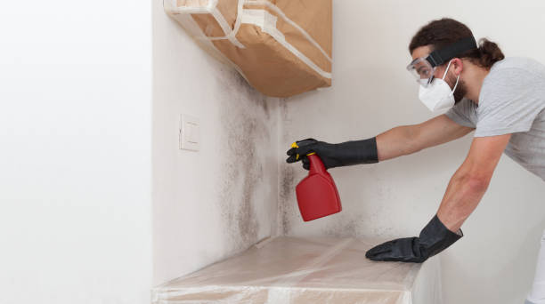 Professional Attic Mold Remediation technician working in Poolesville, MD