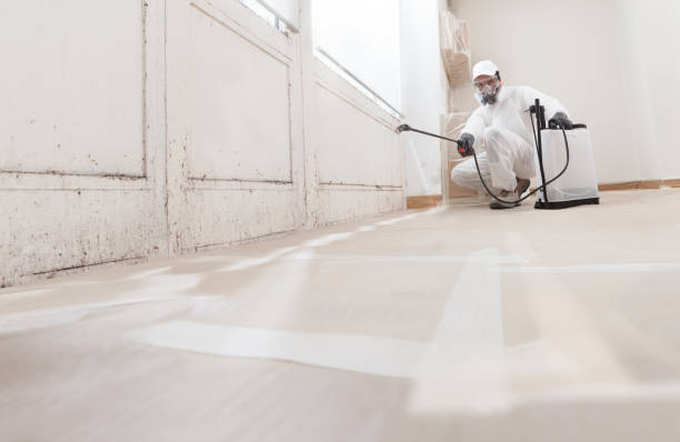 24/7 Emergency Attic Mold Remediation experts in Poolesville, MD